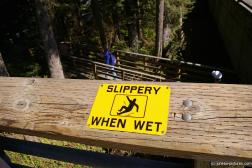 Slippery when wet sign in Juneau Homestead Park.jpg