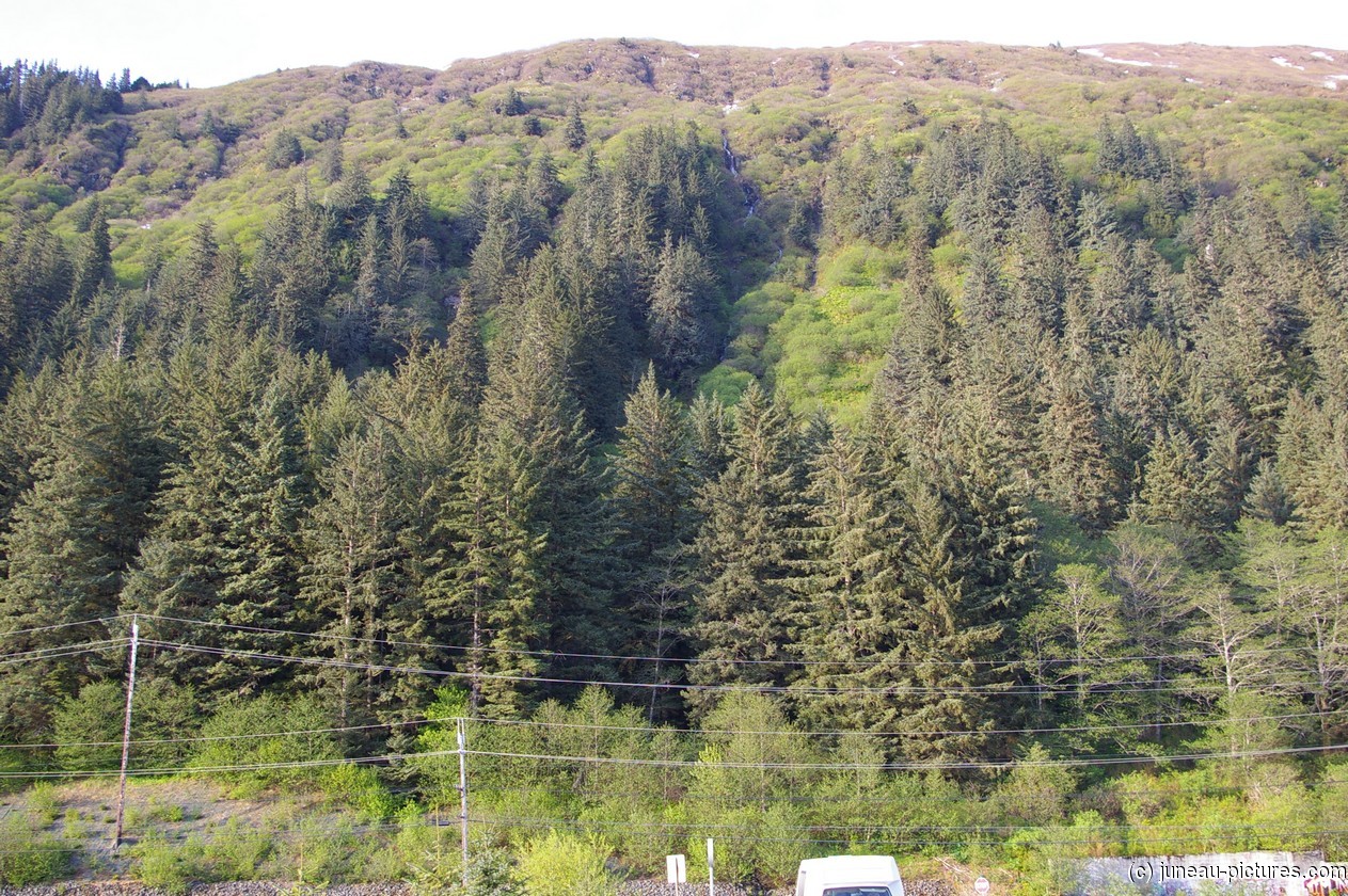 Waterfall in Mount Roberts in Juneau Alaska.jpg
