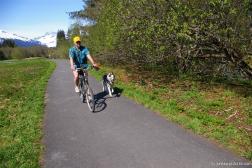 Alaskan man and his Huskie dog on the Clear Water Trail in Juneau Alaska.jpg