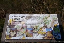 Botany sign at the Mendenhall Glacier visitor area.jpg