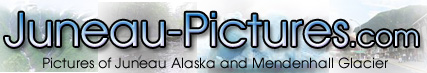 Juneau Gallery Logo